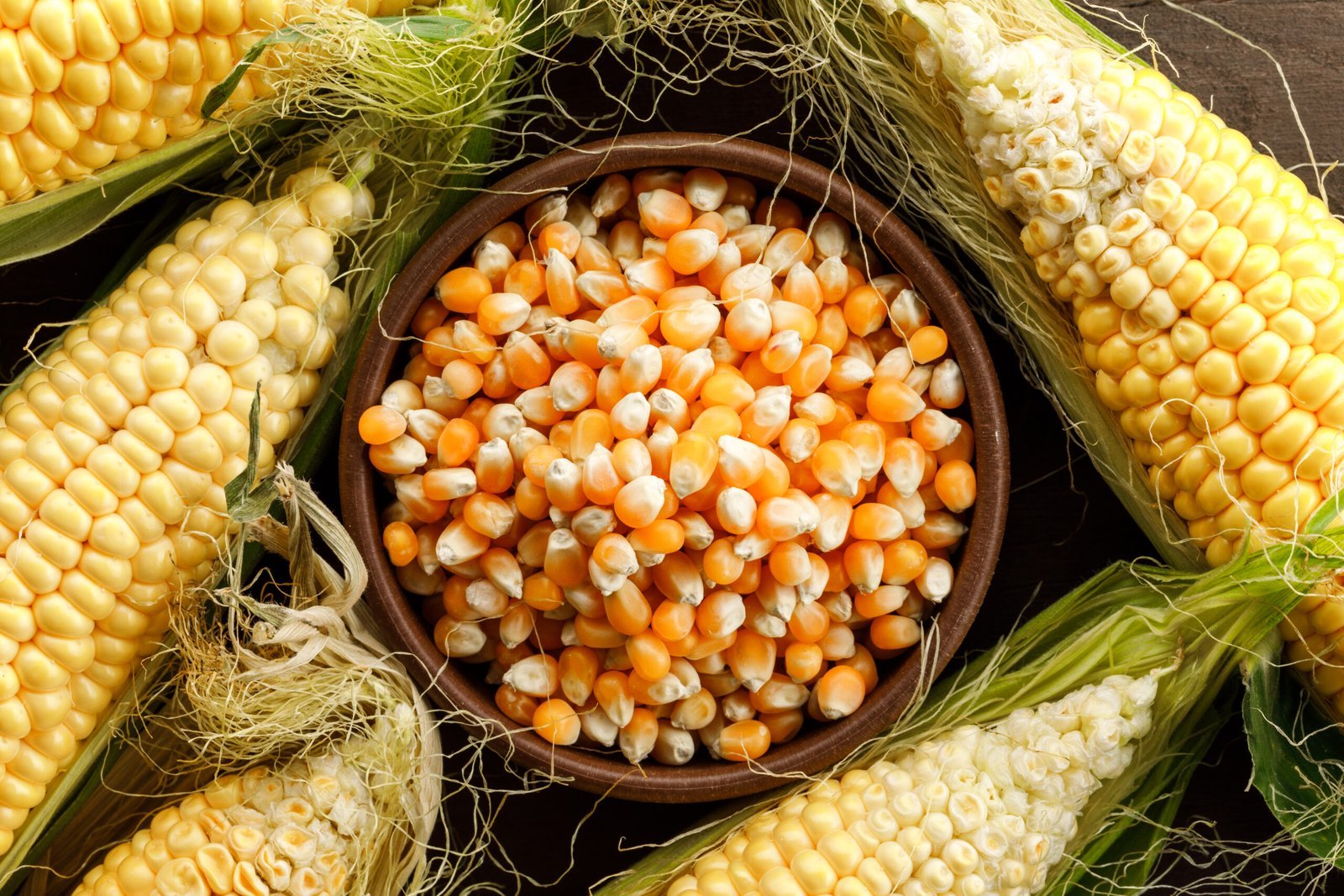 corn grains clay plate wooden table flat lay scaled.jpg